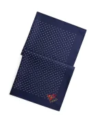 Polo Ralph Lauren eșarfă de bărbați de mătase