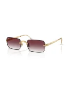 Ray-Ban ochelari de soare