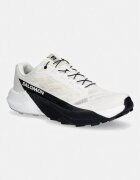 Salomon pantofi de alergat PULSAR