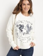 acajo Pulover bej deschis cu broderie decorativă în față Minavira