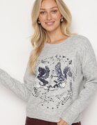 acajo Pulover Gri deschis cu broderie decorativă în față Minavira