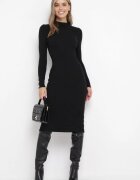 rosa Rochie Neagră