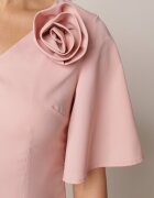 vices Rochie Roz