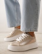 vices Sneakers Aurii cu Inserție Metalică Perforație și Stea Edanatia
