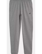4F Pantaloni barbati Poliester - Gri -