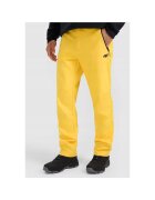 4F Pantaloni trekking barbati - poliester - galben
