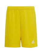 adidas Pantaloni sport Galben