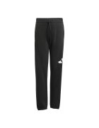 adidas Pantaloni sport pentru copii J BL FT PT 280