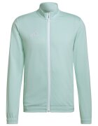 Adidas PERFORMANCE Bluza cu fermoar - pentru fotbal Entrada 22 - Verde menta