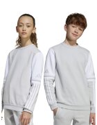 Adidas PERFORMANCE Bluza de trenig cu model in doua nuante - pentru fotbal - Alb/Gri deschis