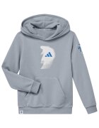 Adidas PERFORMANCE Hanorac cu buzunar kangaroo pentru fotbal - Alb/Gri deschis/Albastru