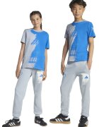 Adidas PERFORMANCE Pantaloni cu doua buzunare - pentru fotbal - Gri deschis