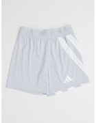 Adidas PERFORMANCE Pantaloni scurti de fotbal Fortore - Alb/Gri deschis