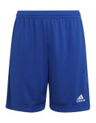 Adidas PERFORMANCE Pantaloni scurti pentru fotbal ENT22 - Albastru royal
