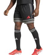 Adidas PERFORMANCE Pantaloni scurti pentru fotbal Squadra 25 - Rosu/Negru/Gri