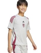 Adidas PERFORMANCE Tricou cu decolteu la baza gatului pentru fotbal - Visiniu/Gri deschis