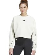 ADIDAS SPORTSWEAR Bluza de trening cu maneci raglan Stadium - Negru/Alb murdar