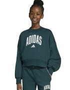 ADIDAS SPORTSWEAR Bluza de trening din amestec de bumbac cu logo - Verde englez