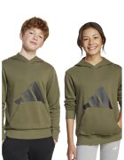 ADIDAS SPORTSWEAR Hanorac cu imprimeu logo - Negru/Verde sparanghel