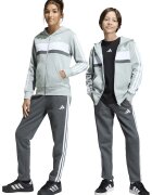 ADIDAS SPORTSWEAR Hanorac cu maneci lungi si model logo - Alb/Verde pal/Gri inchis