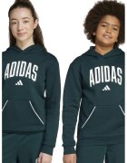 ADIDAS SPORTSWEAR Hanorac din amestec de bumbac cu imprimeu logo - Alb/Verde inchis