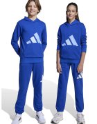 ADIDAS SPORTSWEAR Pantaloni de trening cu logo si snur in talie Essentials - Alb/Albastru royal