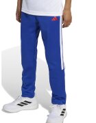 ADIDAS SPORTSWEAR Pantaloni de trening House of Tiro - Alb/Albastru royal
