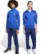 ADIDAS SPORTSWEAR Trening cu fermoar model colorblock - Alb/Albastru royal