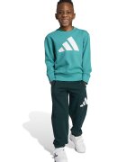 ADIDAS SPORTSWEAR Trening cu imprimeu logo - Alb/Verde
