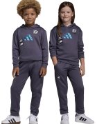 ADIDAS SPORTSWEAR Trening regular fit cu logo - Gri antracit