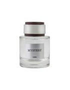 Ajmal Apa de Parfum - Mystery - barbati - 100 ml
