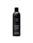 Alfaparf Milano Sampon anti-matreata si control sebum Alfaparf Rebalancing Low Shampoo Blends of Many 250 ml