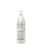 Alfaparf Milano Sampon pentru par deteriorat Alfaparf IL Salone Keratin - 1000 ml