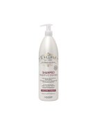 Alfaparf Sampon pentru par vopsit IL Salone Milano Magnificent - 1000 ml