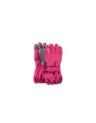 Barts Manusi Tec Gloves - Roz