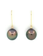 Bebe Gold Pereche Cercei din Aur 14k cu Perle de Tahiti Autentice - Semi-Rotunde - 10mm - calitate AA