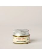 Botanicus Balsam de buze cu unt de Shea - Portocala si Ghimbir 100 % natural - pentru buze uscate si crapate - hidratare si hranire profunda - formulat din unturi - uleiuri si extracte botanice