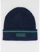Calvin Klein Caciula striata din amestec de bumbac organic cu aplicatie logo - Verde/Bleumarin