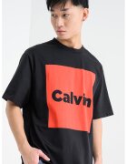 Calvin Klein Jeans Tricou cu imprimeu pe partea din fata si spate - Negru/Caramiziu