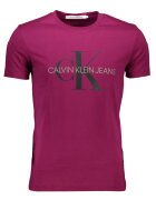 Calvin Klein Jeans Tricou model J30J317065