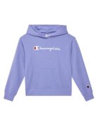 Champion Hanorac barbati 405076 VS097 PRPS - 73% bumbac - mov
