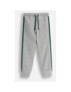 Coccodrillo Pantaloni sport cu benzi contrastante
