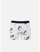 COLIN'S Lenjerie Intima De Barbati Alb Modern Fit Cl1068444