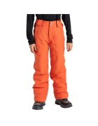 Dare2B Pantaloni pentru schi Outmove II