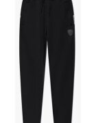 EA7 Pantaloni de trening cu logo