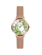 Emily Westwood Ceas de mana pentru femei - bratara mesh - 34mm - auriu