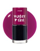 Etude Ruj - Lichid - Ade - 07