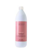 Farmavita Masca profesionala pentru protectia si hidratarea parului vopsit - Amethyste Chroma - 1000 ml