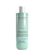 Farmavita Sampon profesional pentru controlul matretii - cu menthol si vitamina E - Amethyste Advance Purify - 250 ml