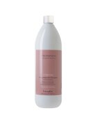 Farmavita Sampon profesional pentru protectia culorii - Amethyste Chroma - 1000 ml